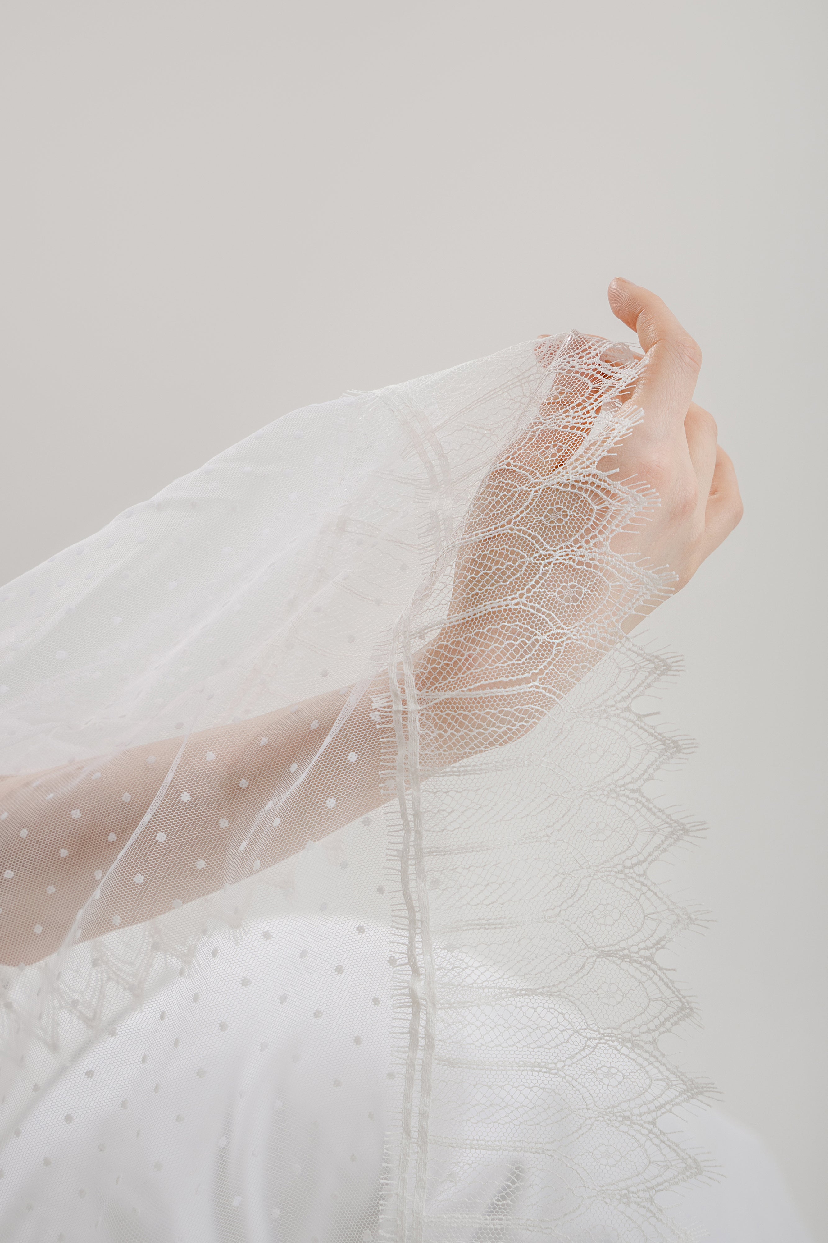 Swiss Dot Lace Trim Veil – Blanco New York